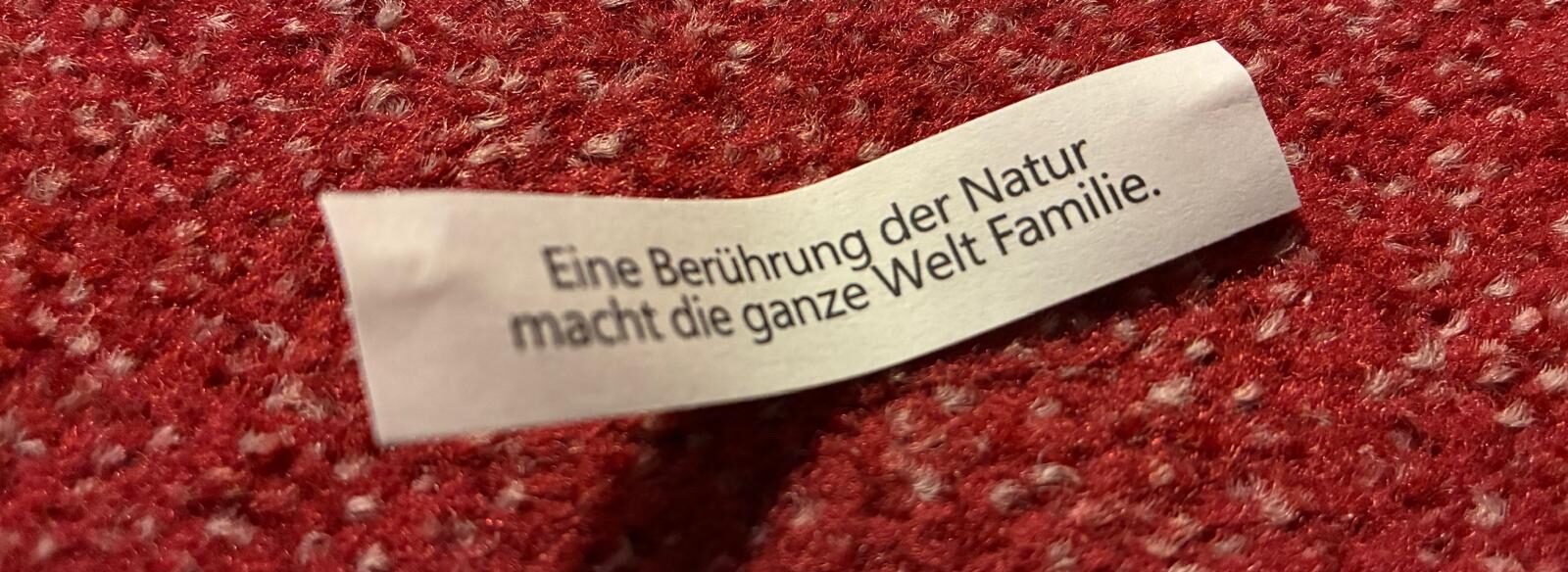 GLÜCKSKEKS Prognose